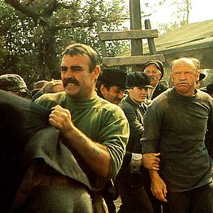 Photo Traître sur commande