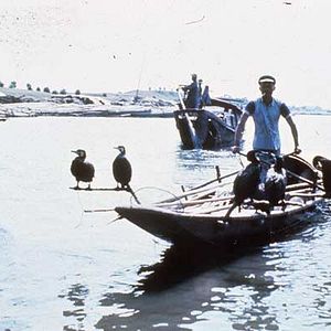 Photo Michelangelo Antonioni