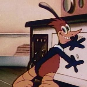 Photo Woody Woodpecker