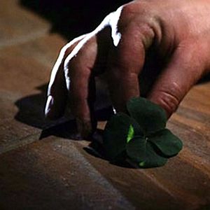 Photo Leprechaun