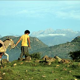 Photo Les Voyages du vent