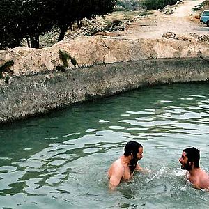 Photo Tu n'aimeras point