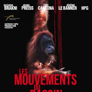 Photo Les Mouvements du bassin