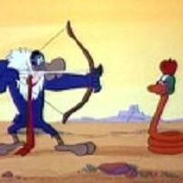 Photo Buzzard et Vermisso