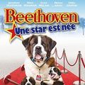 Photo Beethoven: une star est née