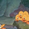 Photo Le Vilain petit canard