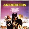 Photo Antarctica