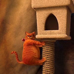 Photo Mike Mitchell (V)