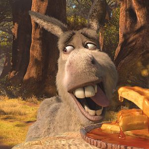 Photo Mike Mitchell (V)