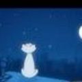 Photo Starless Night