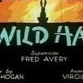 Photo A Wild Hare