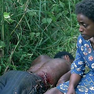 Photo Philippe Van Leeuw