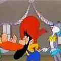 Photo Hillbilly Hare