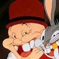 Photo The Wacky Wabbit