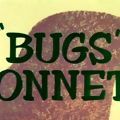 Photo Bugs' Bonnets
