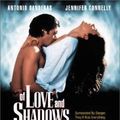 Photo Of Love and Shadows