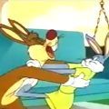 Photo Hare Splitter