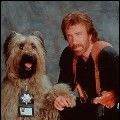 Photo Top Dog