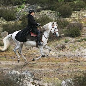 Photo Nicolas Le Floch