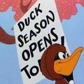 Photo My Favorite Duck