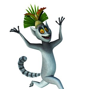 Photo Les Pingouins de Madagascar