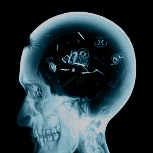 Photo Maxime Entringer