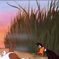 Photo Daffy Duck Hunt
