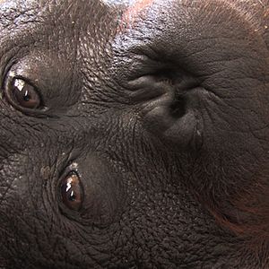 Photo Patrick Rouxel