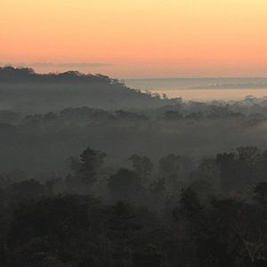 Photo Patrick Rouxel