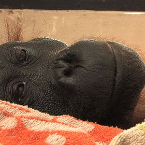 Photo Patrick Rouxel