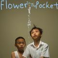 Photo Flower in the pocket