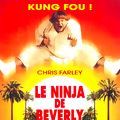 Photo Le Ninja de Beverly Hills