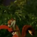 Photo L'aventure de Zamy et son Boomerang