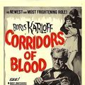 Photo Corridor of blood