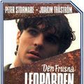 Photo Den Frusna leoparden