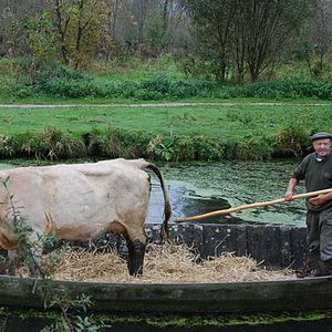 Photo Alexandre Messina