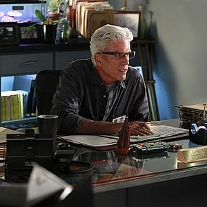 Photo Ted Danson