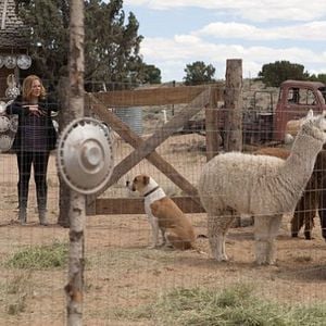 Photo Mary McCormack