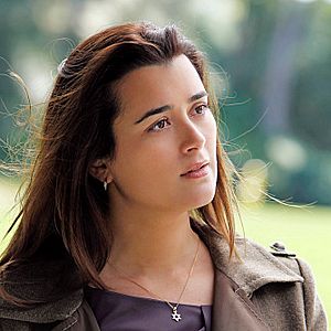 Photo NCIS : Enquêtes spéciales