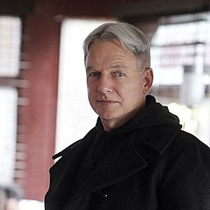 Photo NCIS : Enquêtes spéciales