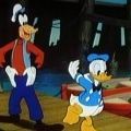 Photo Donald et Dingo marins