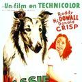 Photo La Fidèle Lassie
