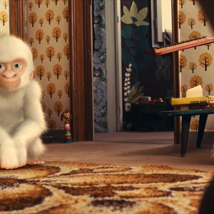 Photo Snowflake, le gorille blanc