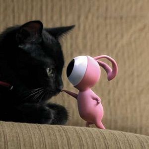 Photo Don't Go