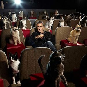 Photo Le Chat Potté