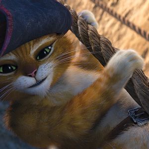 Photo Le Chat Potté