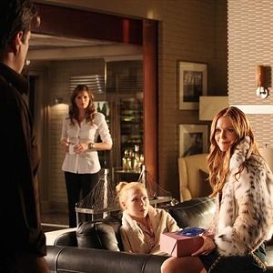 Photo Molly C. Quinn
