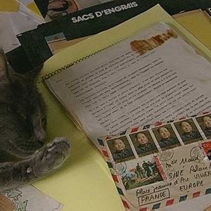 Photo Stéphane Mercurio