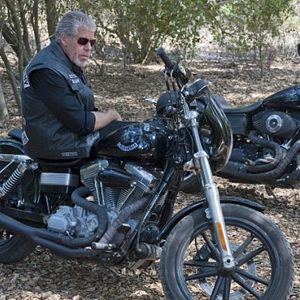 Photo Ron Perlman