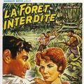 Photo La Foret interdite